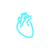 Dispositivo de ultrasonido portátil de mano aplicación cardíaca